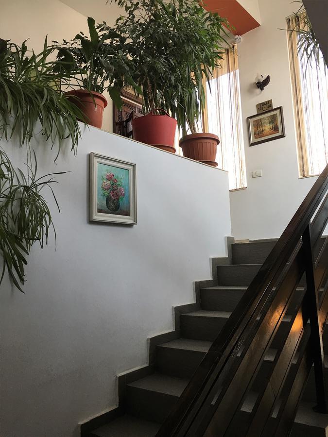 Hotel Taco Bucarest Extérieur photo